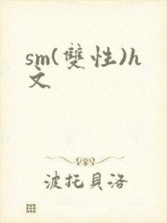 sm(双性)h文