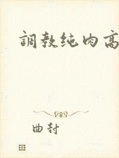 调教纯肉高h