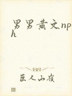 男男黄文np高h