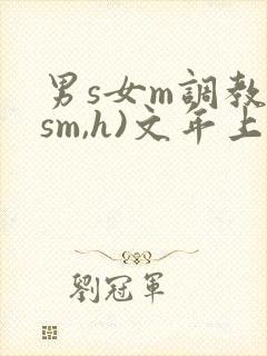 男s女m调教(sm,h)文年上