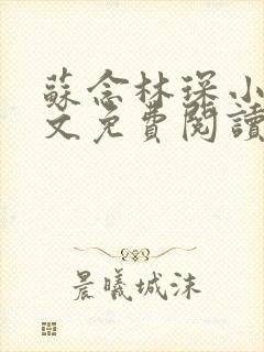 苏念林琛小说全文免费阅读最新章节无弹窗