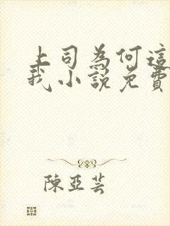 上司为何这样对我小说免费阅读