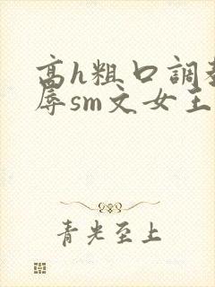 高h粗口调教羞辱sm文女王封面