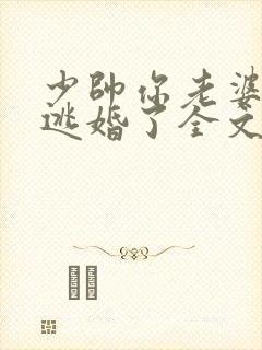 少帅你老婆又要逃婚了全文免费阅读封面