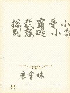 总裁霸爱小娇妻别想逃 小说免费阅读