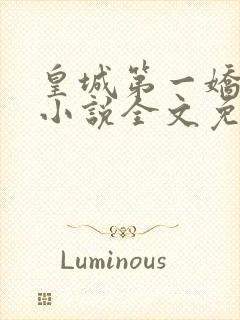 皇城第一娇凤轻小说全文免费阅读封面