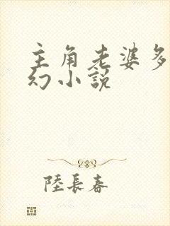 主角老婆多的玄幻小说封面