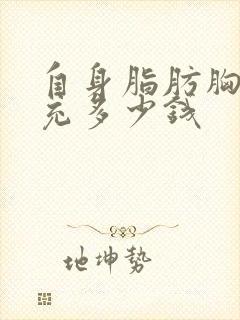 自身脂肪胸部填充多少钱