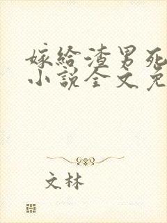 嫁给渣男死对头小说全文免费阅读封面