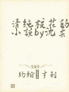 清纯校花的日常小说by沈柔封面