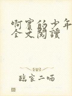 啊宾的少年在线全文阅读