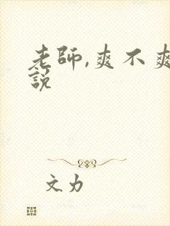 老师,爽不爽小说