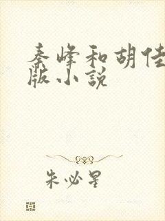 秦峰和胡佳芸正版小说封面