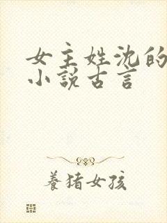 女主姓沈的重生小说古言