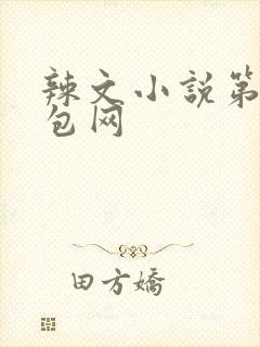 辣文小说第二书包网