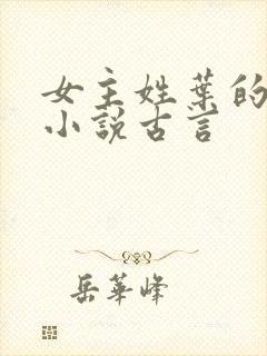 女主姓叶的穿越小说古言