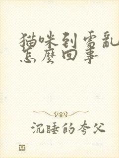 猫咪到处乱尿是怎么回事