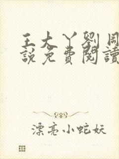 王大丫刘 刚小说免费阅读封面