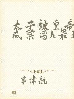 太子被皇帝调教成禁脔h最新章节内容