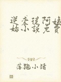 逆袭从阿姨家开始小说免费阅读