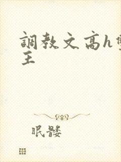 调教文高h双男主