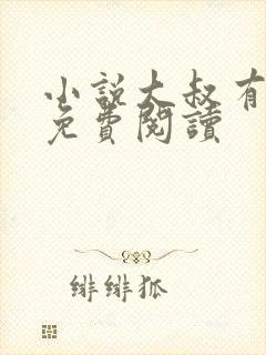 小说大叔有点帅免费阅读封面