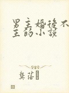 男主婚后不爱女主的小说