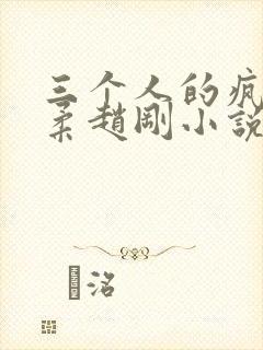 三个人的疯狂苏柔赵刚小说阅读封面