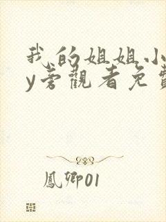 我的姐姐小说by旁观者免费阅读全文