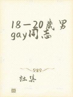 18—20岁男gay同志