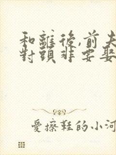 和离后,前夫死对头非要娶我