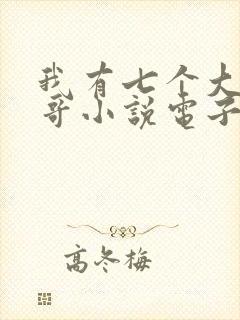 我有七个大佬哥哥小说电子版txt