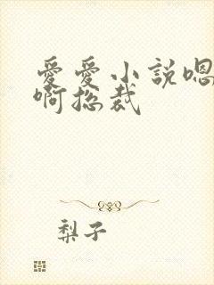 爱爱小说嗯嗯啊啊总裁