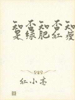 知否知否知否应是绿肥红瘦关系图