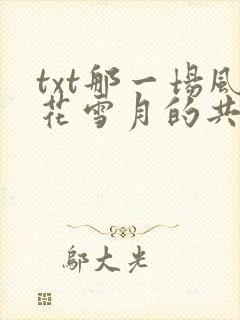 txt那一场风花雪月的共谋封面