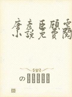 唐彦臣顾云歌的小说免费阅读