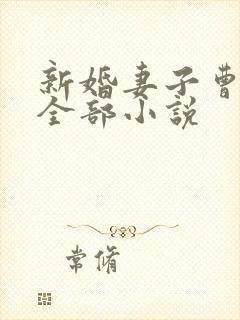 新婚妻子曹仁妻全部小说