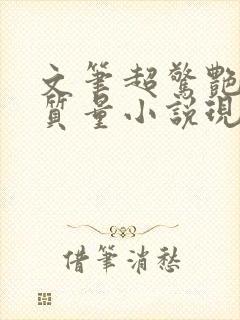 文笔超惊艳的高质量小说现代言情