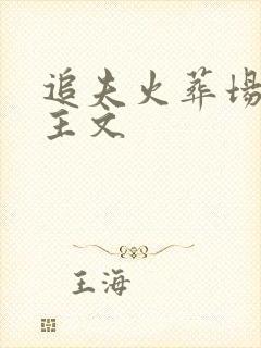 追夫火葬场双男主文