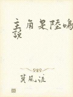 主角是陆鸣的小说