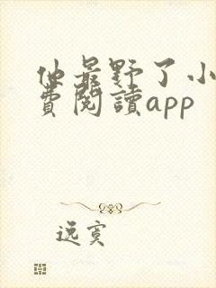 他最野了小说免费阅读app