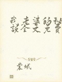 我老婆的秘密小说全文免费阅读封面