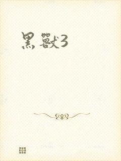 黑兽3