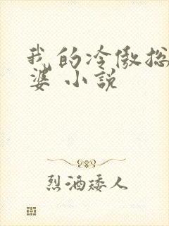 我的冷傲总裁老婆 小说