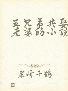 五兄弟共娶一个老婆的小说