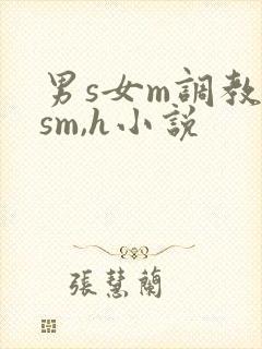 男s女m调教(sm,h小说