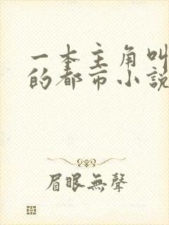 一本主角叫叶欢的都市小说