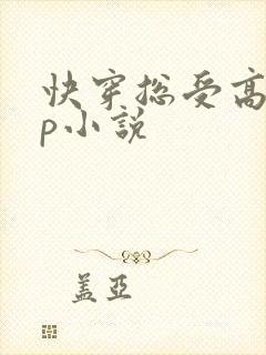 快穿总受高hnp小说封面