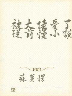 被大佬爱了by从前慢小说阅读