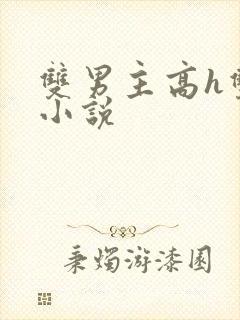 双男主高h双性小说